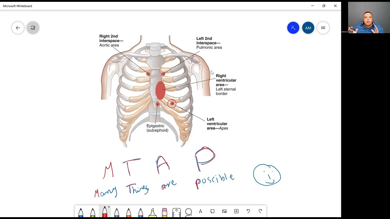 Auscultation 1