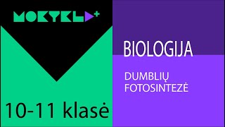 Mokykla Biologija 10-11 Klasė Dumblių Fotosintezė Laisvės Tv X