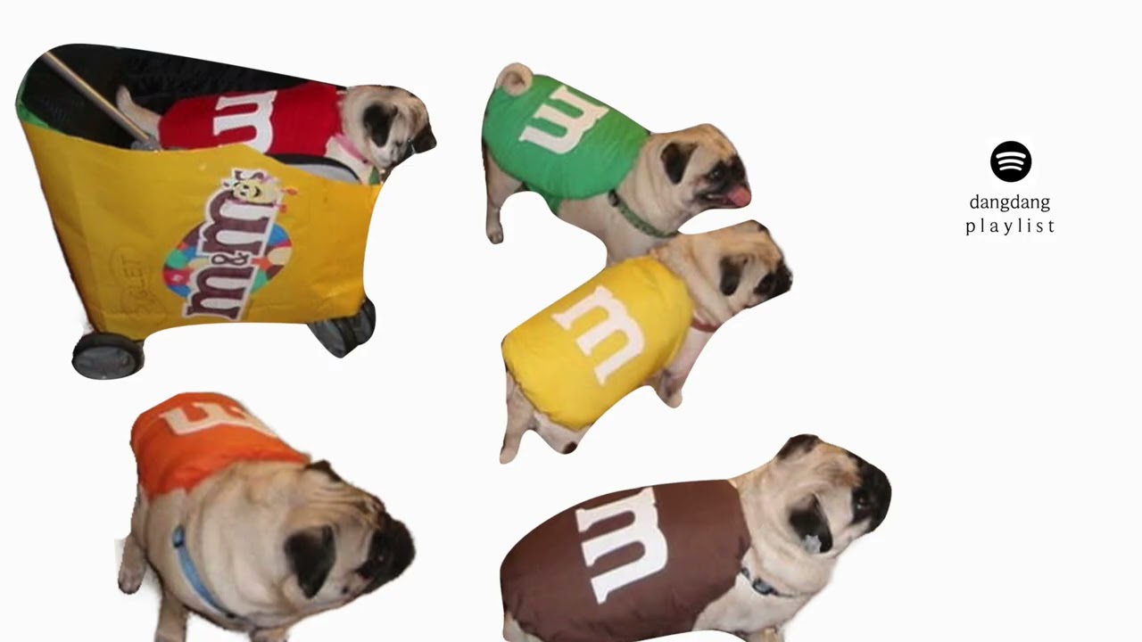 𝐏𝐥𝐚𝐲𝐥𝐢𝐬𝐭 겉은 단단해도, 속은 다 달다