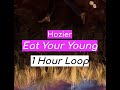 Hozier - Eat Your Young 1 HOUR