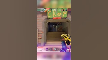 Uploading Clips Until I Get 1000 Subs #48