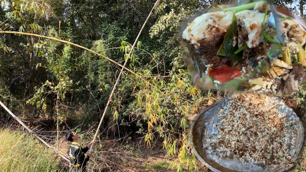 ต้มปลาค้อสารคามใส่ไข่มดแดงแซ่บๆ บ่นคิดถึงลูกบ้านเงียบเลย