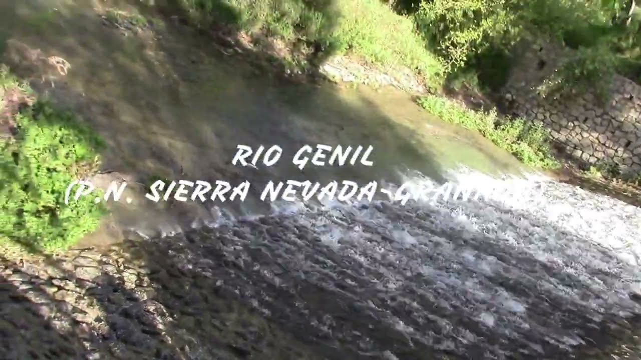RIO GENIL (P.N. SIERRA NEVADA-GRANADA)