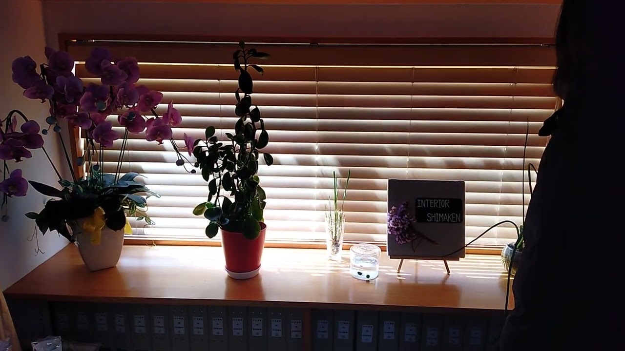 ブラインド遮光性