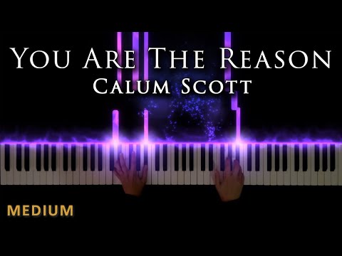You Are The Reason - Calum Scott