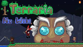 [NO WIKI] First time playing Terraria