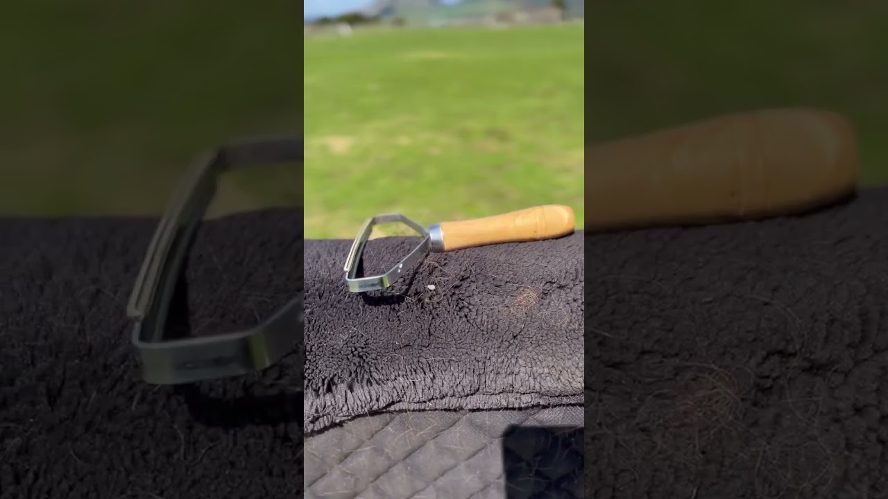 Vivant Equi Defluffer