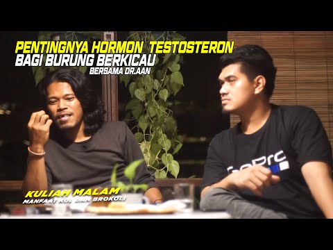 Video: Gangguan Hormon Pada Burung