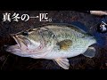 【オカッパリ】琵琶湖・北湖 真冬の一匹を狙うならここだ！【オンラインガイド】