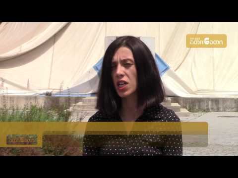 ანი წითლიძე:  ყინულის სახლით ვიცე მერმა გია გულორდავამ იხეირა