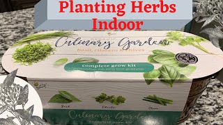 How to Plant Herbs Indoor| Complete Growing Kit | Basil, Cilantro & Chives by Ringabag 3,724 views 3 years ago 8 minutes, 43 seconds