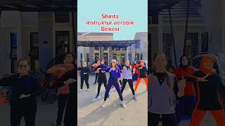 Download Lagu Aerobik tang ting tung Shinta MP3