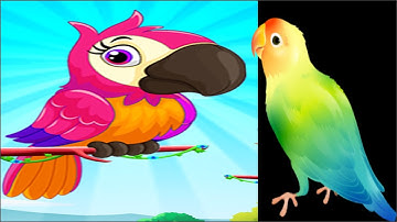 Bird Sort Puzzle All Level Walkthrough Solution iOS/Android Level 1-5 | ZTDM Gamer