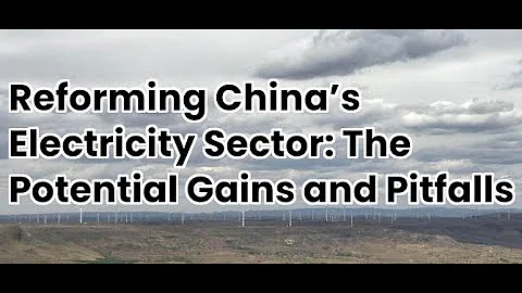 Reforming China's Electricity Sector: The Potential Gains and Pitfalls - DayDayNews