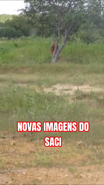 REAL IMAGES OF SACI! #sacipererê #saci #ithinnfarras #legends #caipora #folklore #curupira