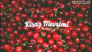 [Lyrics Vietsub] Kiraz Mevsimi - Aydilge (Cherry Season OST)