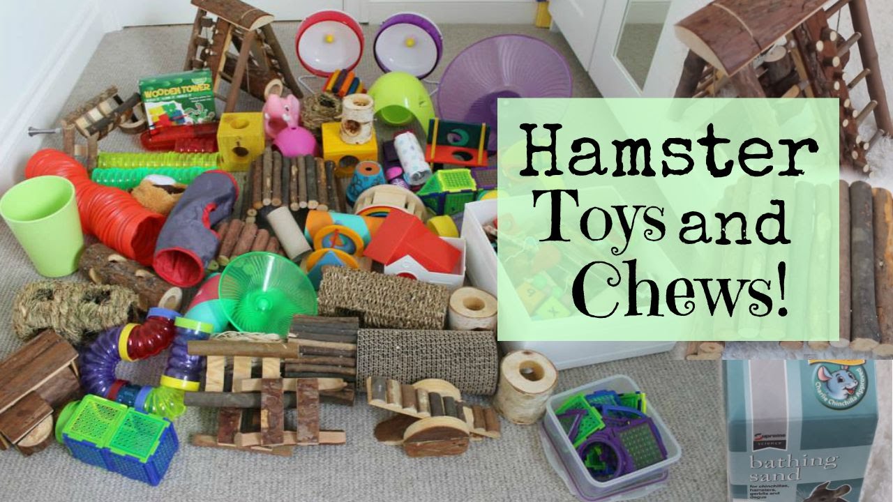 homemade hamster chew toys