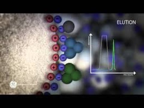 Vídeo: Diferencia Entre Cromatografía De Par De Iones Y De Intercambio Iónico