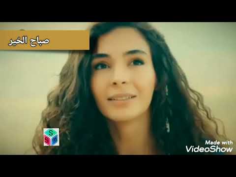 وائل كفوري يا أميرة كل النجمات من مونتاجي