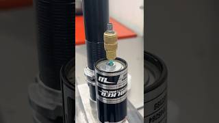 What’s inside your Walker Shocks?