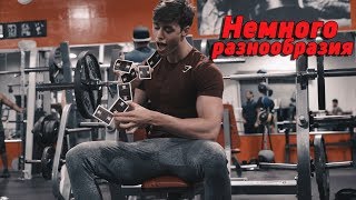 видео: Немного разнообразия | Тренировка верха тела Дэвид Лейд картинка: Немного разнообразия | Тренировка верха тела Дэвид Лейд