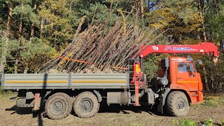 Перевозка Деревьев. Работа на Манипуляторе.