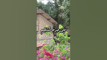 #قرآن #قران_كريم #سورة_يس #salma_zyada #اسلام_صبحي #اكسبلور #salma_zyada #اسلام