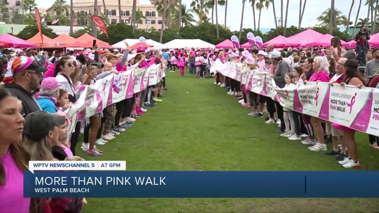 Pink Cow display coming to the Big Fresno Fair, honors women battling  cancer - ABC30 Fresno