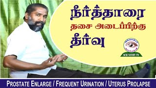 நீர்தாரை தசை அடைப்புக்கு தீர்வு /Prostate enlarge # Frequent Urination / Uterus prolapse