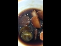 طرشي مدبس