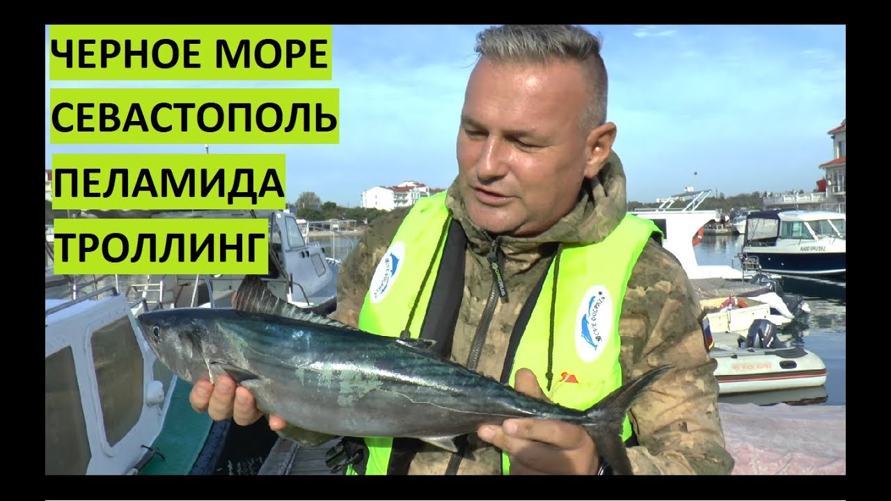 Зеленая нива рыбалка крым