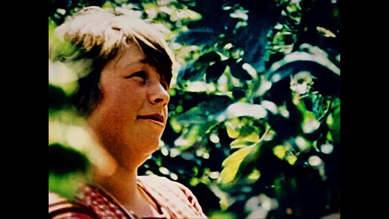 Damals in der DDR 1980 Neubrandenburg