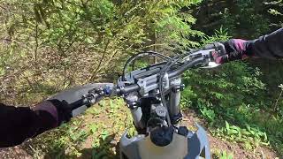 фрирайд Питкросс золото и серебро / тест DJI OSMO ACTION 5