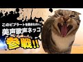 ヤバ過ぎネッコ全員参戦!!part35