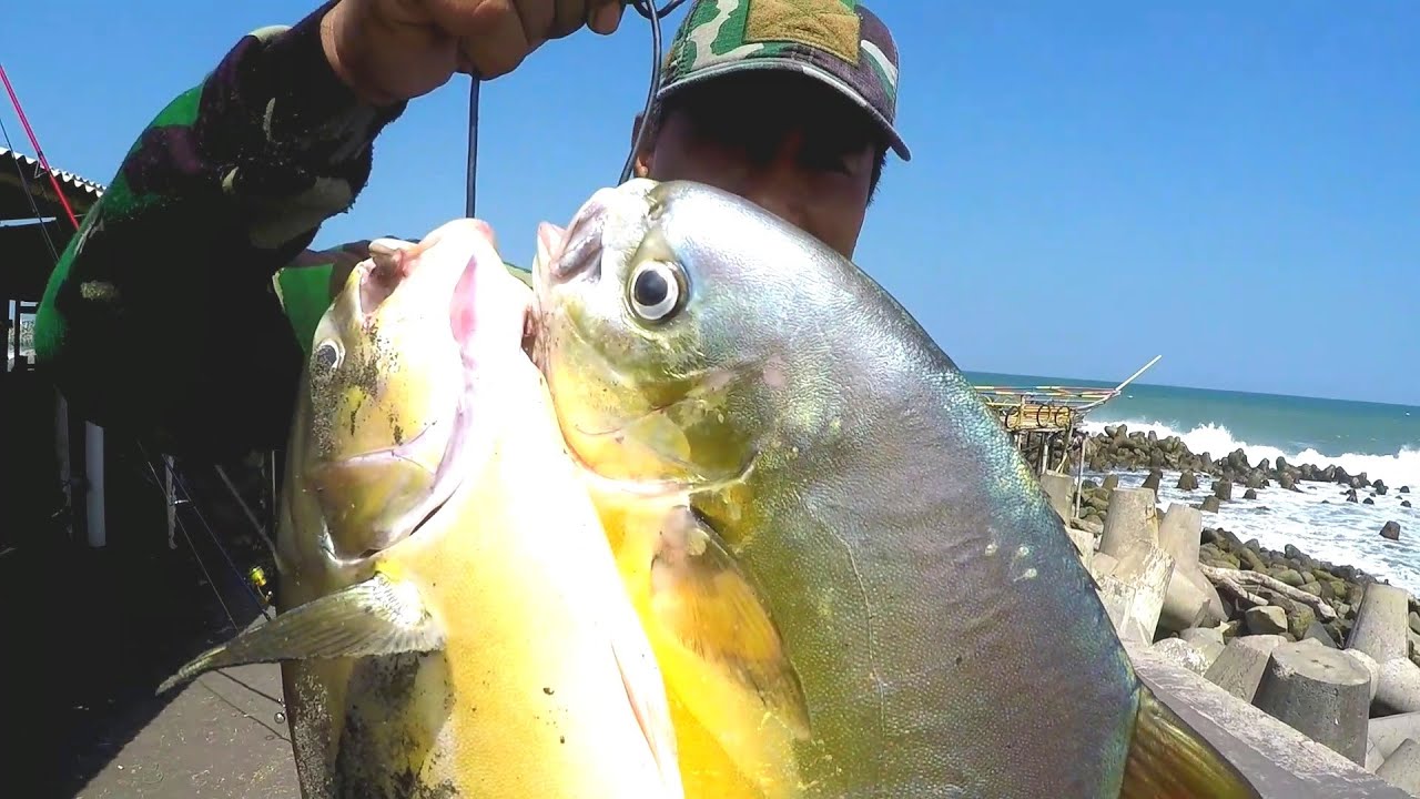 STRIKE TERUS !!! MANCING DI MUARA DAPAT IKAN BESAR, PART 3 || MANCING