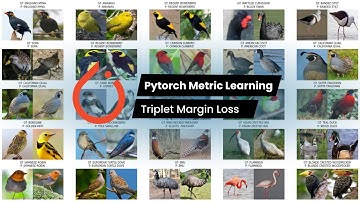 Pt. 1 | Pytorch Metric Learning | BIRDS 400-SPECIES IMAGE CLASSIFICATION