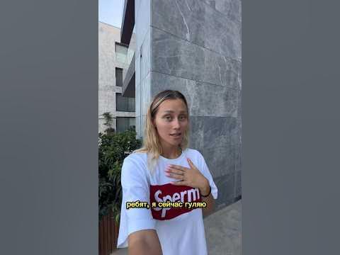 Погладила двух котиков 😻 #машмилаш #milash #пранк - YouTube