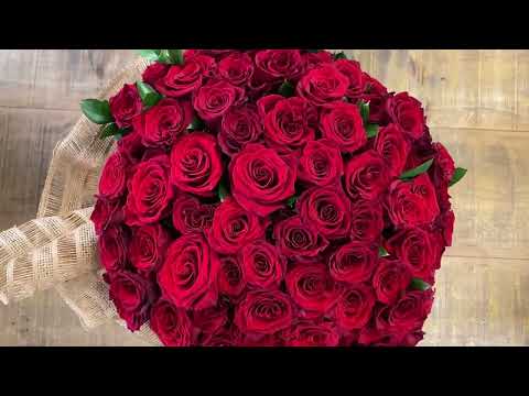 Buquê 100 Rosas Selecionadas - Esalflores