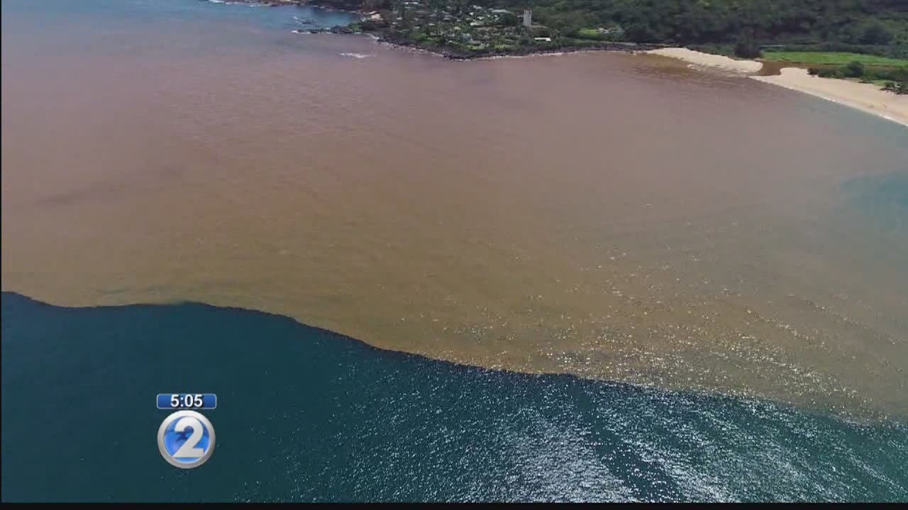 Brown water pours into Waimea Bay YouTube