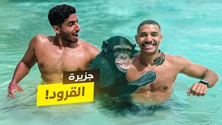 تحدي السباحه في أعماق المحيط الهندي | شفنا قرود ! 🐒🏝️