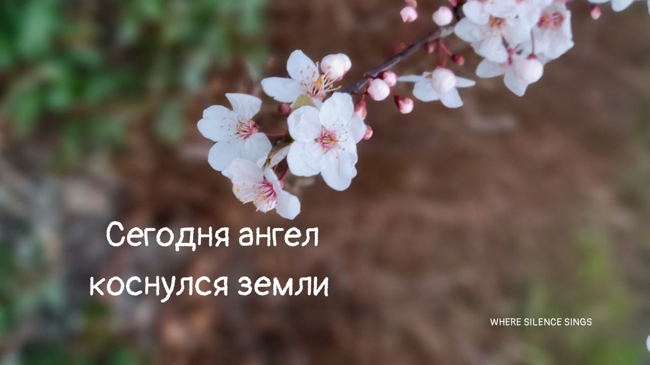 Сегодня ангел коснулся земли 