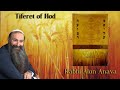 Tiferet of Hod | Counting the Omer - Rabbi Alon Anava