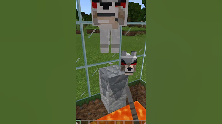 wolf rocket🤯 in minecraft#shorts