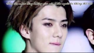 [Engsub + Vietsub][Fanmade][HunHan] 最痛 - The most painful thing - Nỗi đau