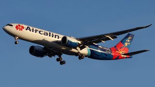 [4K] GOLDEN HOUR Arrivals at Brisbane Airport | CLOSE UP Plane Spotting