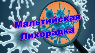 Мальтийская лихорадка