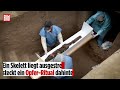 SENSATION IN PERU: Uraltes Mausoleum entdeckt – 38 Tote aus der Chimú-Zeit