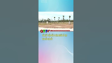 Đề xuất cấm đến 5 năm người bỏ cọc khi đấu giá đất| QTTV #shorts
