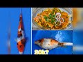 How to cook a koi fish | Mukbang | Cooking the most expensive fish in Japan | Koi fish delicacy