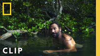 Caught in a mangrove rip tide | Primal Survivor: Extreme African Safari